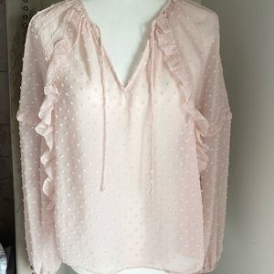 Sheer Pink Express Top Blouse